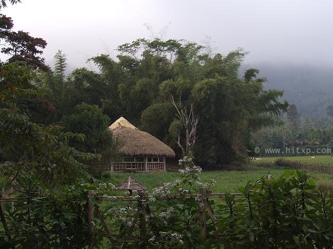 Hinduism and the Total Number of Species or Life Forms on Planet Earth