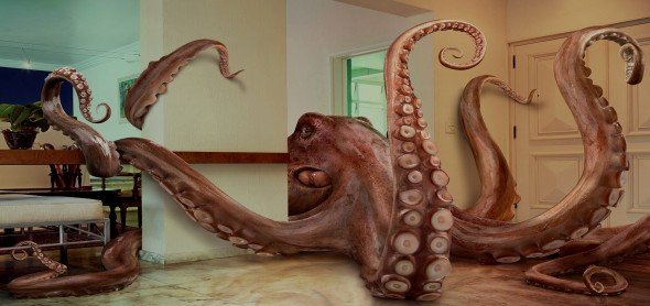 The Myth of Western Scientific Outlook and Eastern Blind Faiths