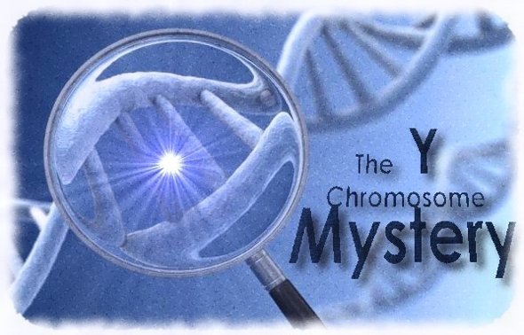 Mystery of the Y Chromosome Resolved – How it Prevents Male Extinction